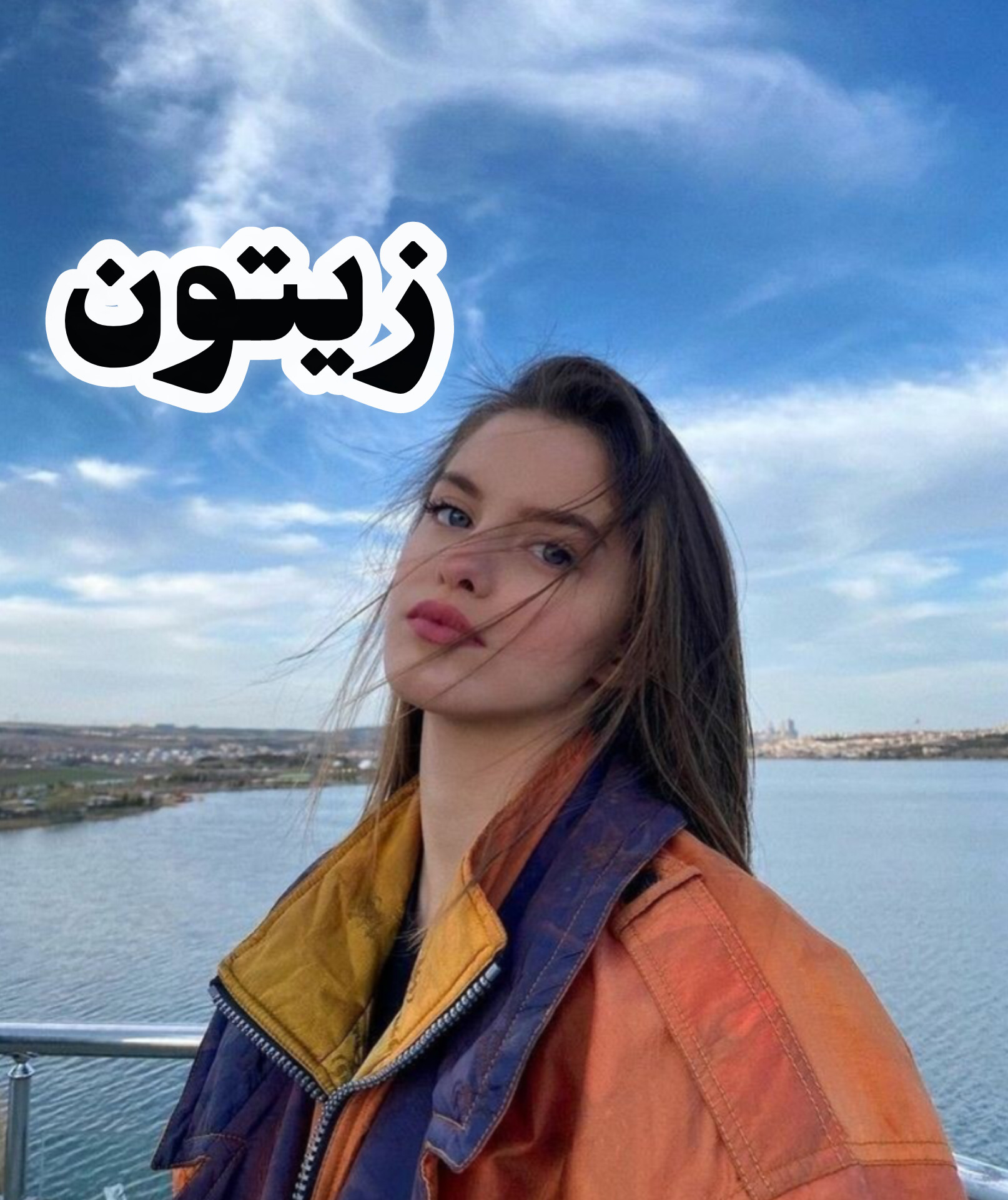 دانلود رمان زیتون