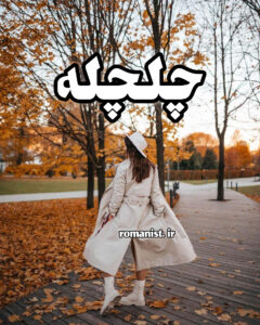 دانلود رمان چلچله