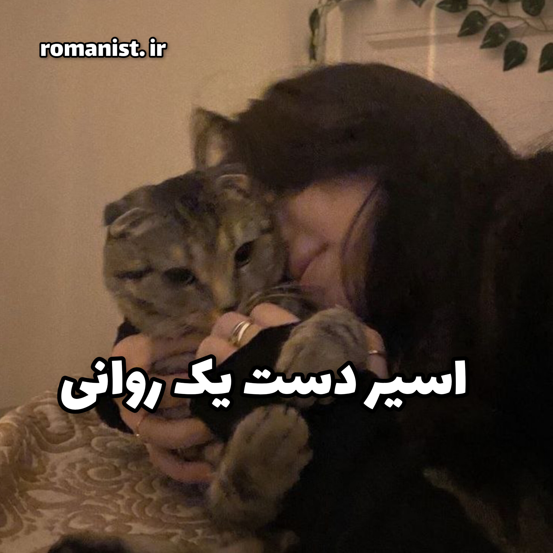 دانلود رمان اسیر دست یک روانی
