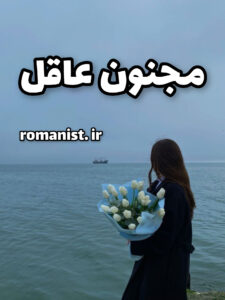 دانلود رمان مجنون عاقل