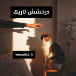 دانلود رمان درخشش تاریک