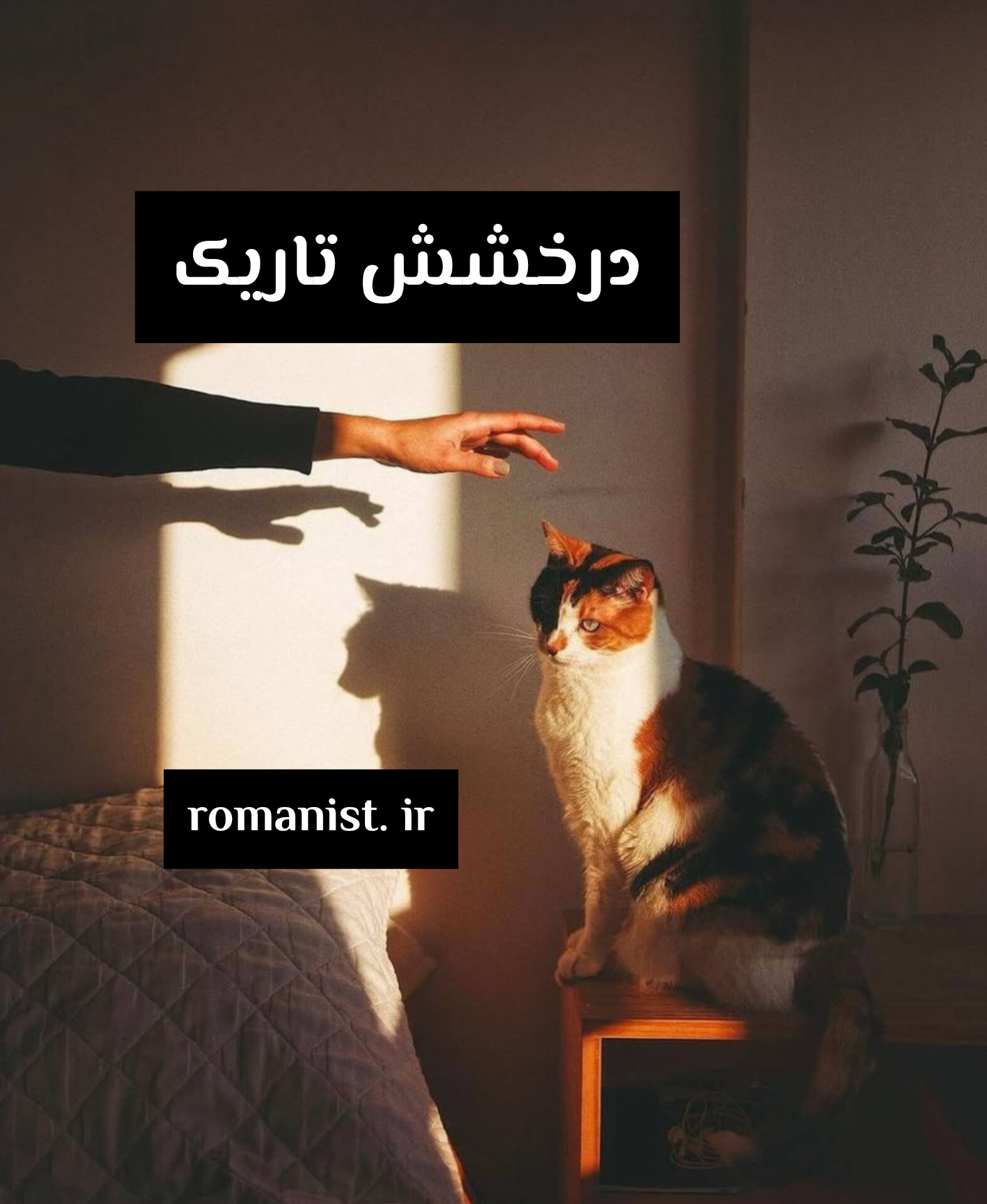 دانلود رمان درخشش تاریک