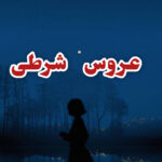دانلود رمان عروس شرطی