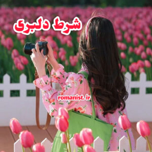 دانلود رمان شرط دلبری
