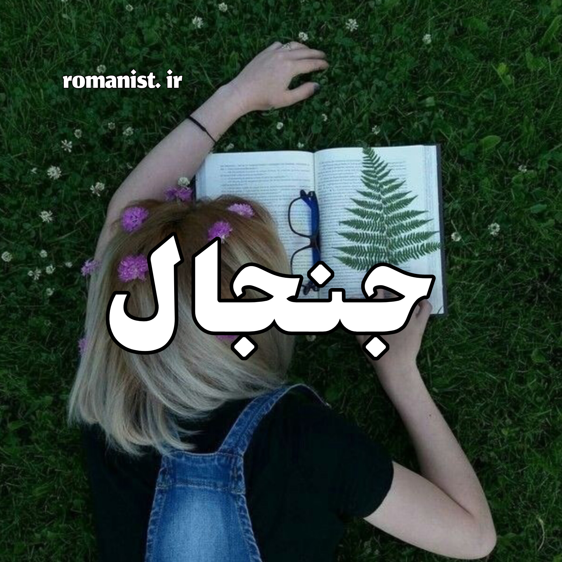 دانلود رمان جنجال