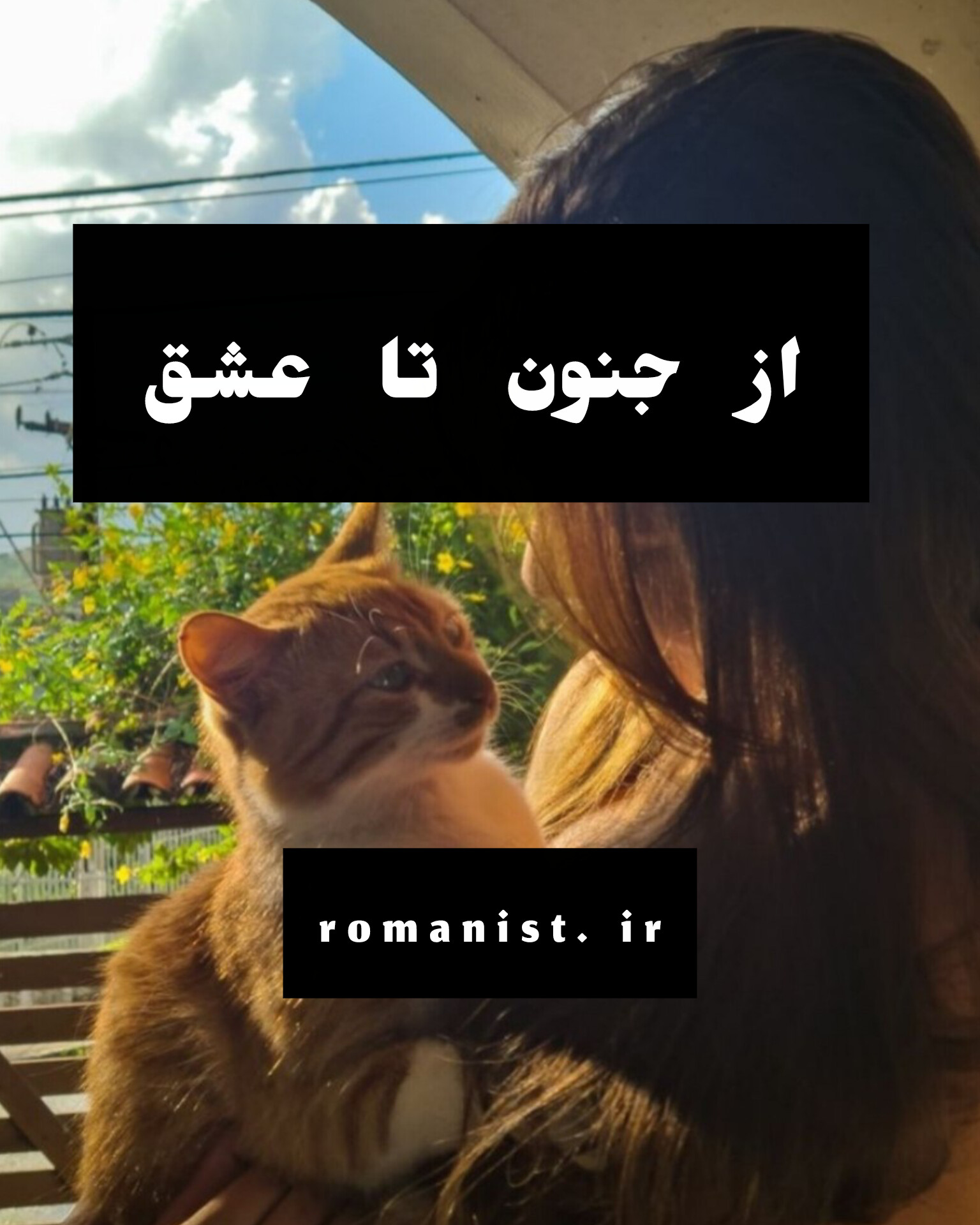 دانلود رمان از جنون تا عشق