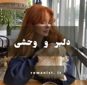 دانلود رمان دلبر و وحشی