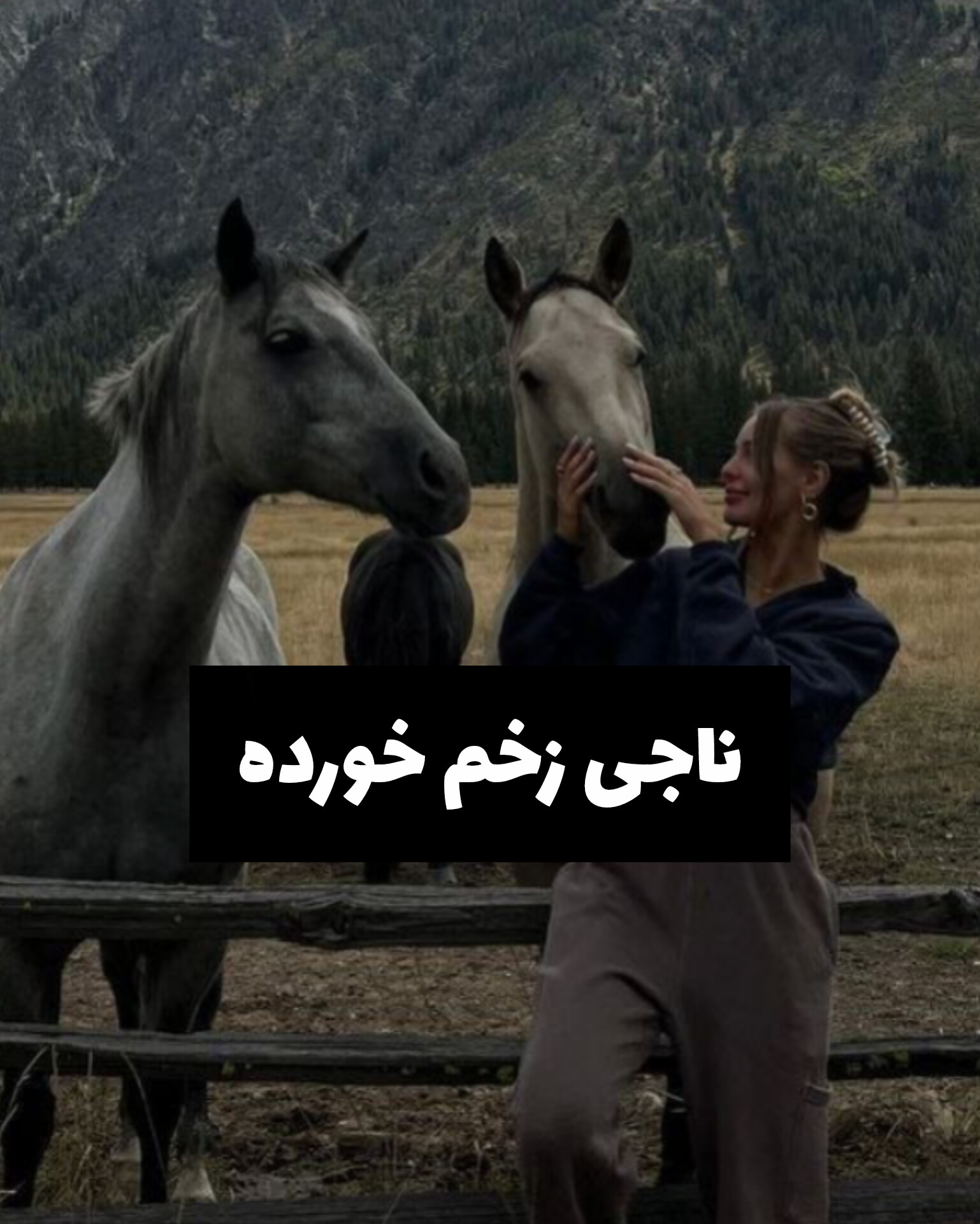 دانلود رمان ناجی زخم خورده