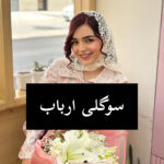 دانلود رمان سوگلی ارباب
