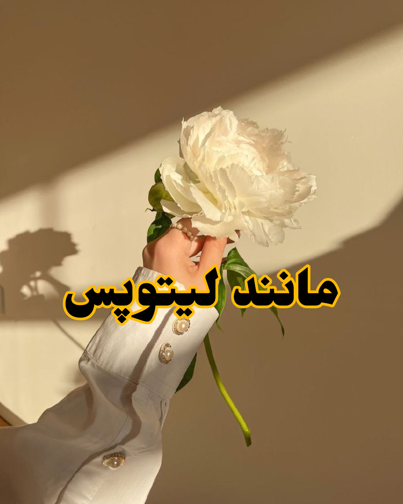 دانلود رمان مانند لیتوپس